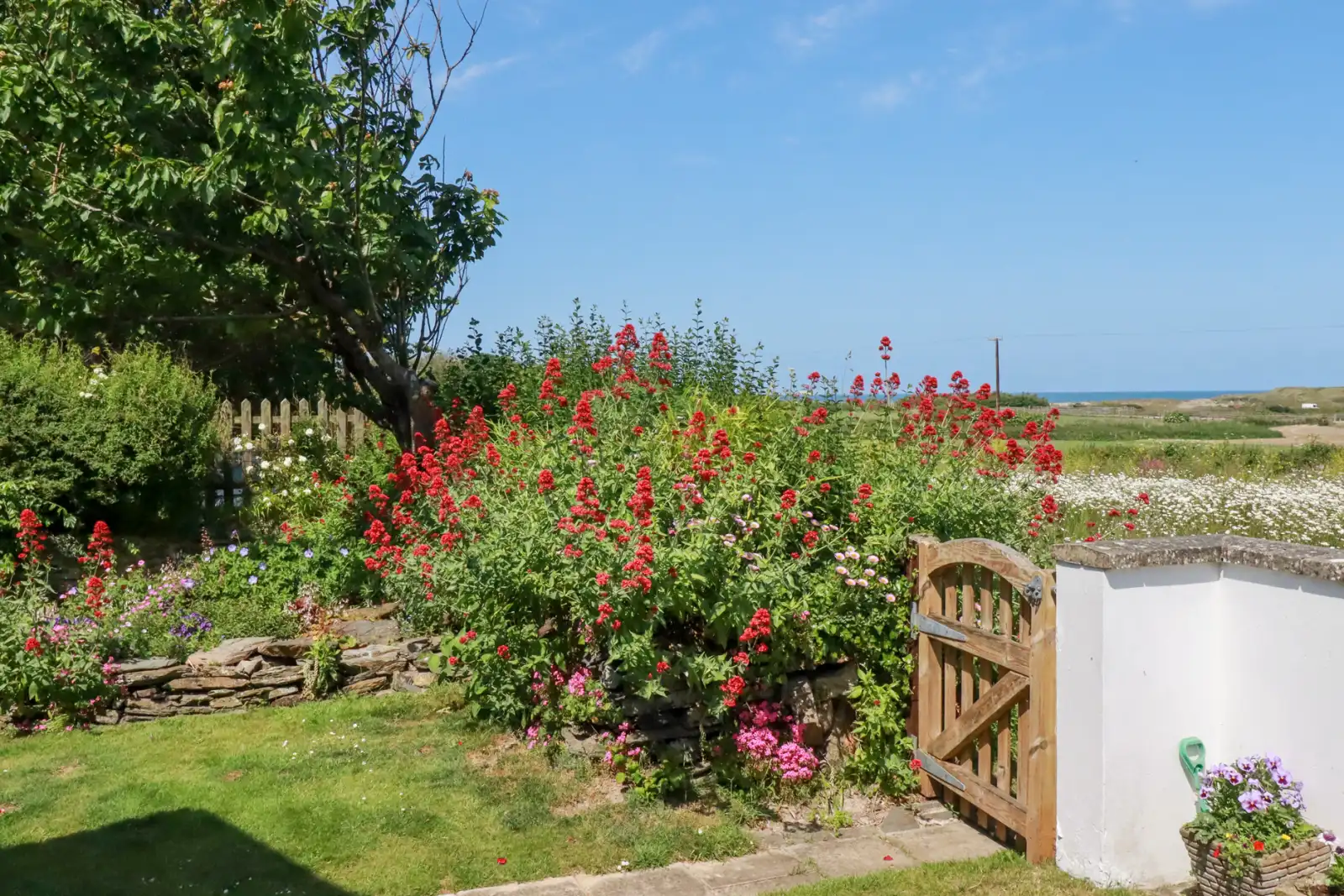 Property image 3 for SC1166286