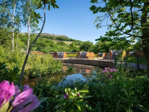 Property image 8 for SC1167540