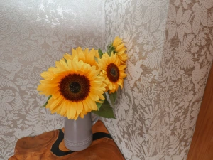 Property image 7 for SC1167806