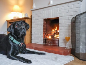 Property image 5 for SC1168690