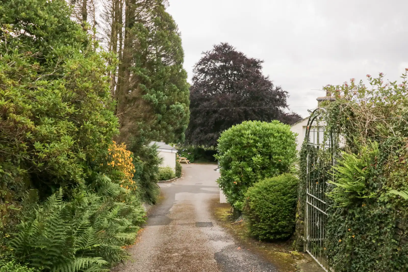 Property image 5 for SC1168991