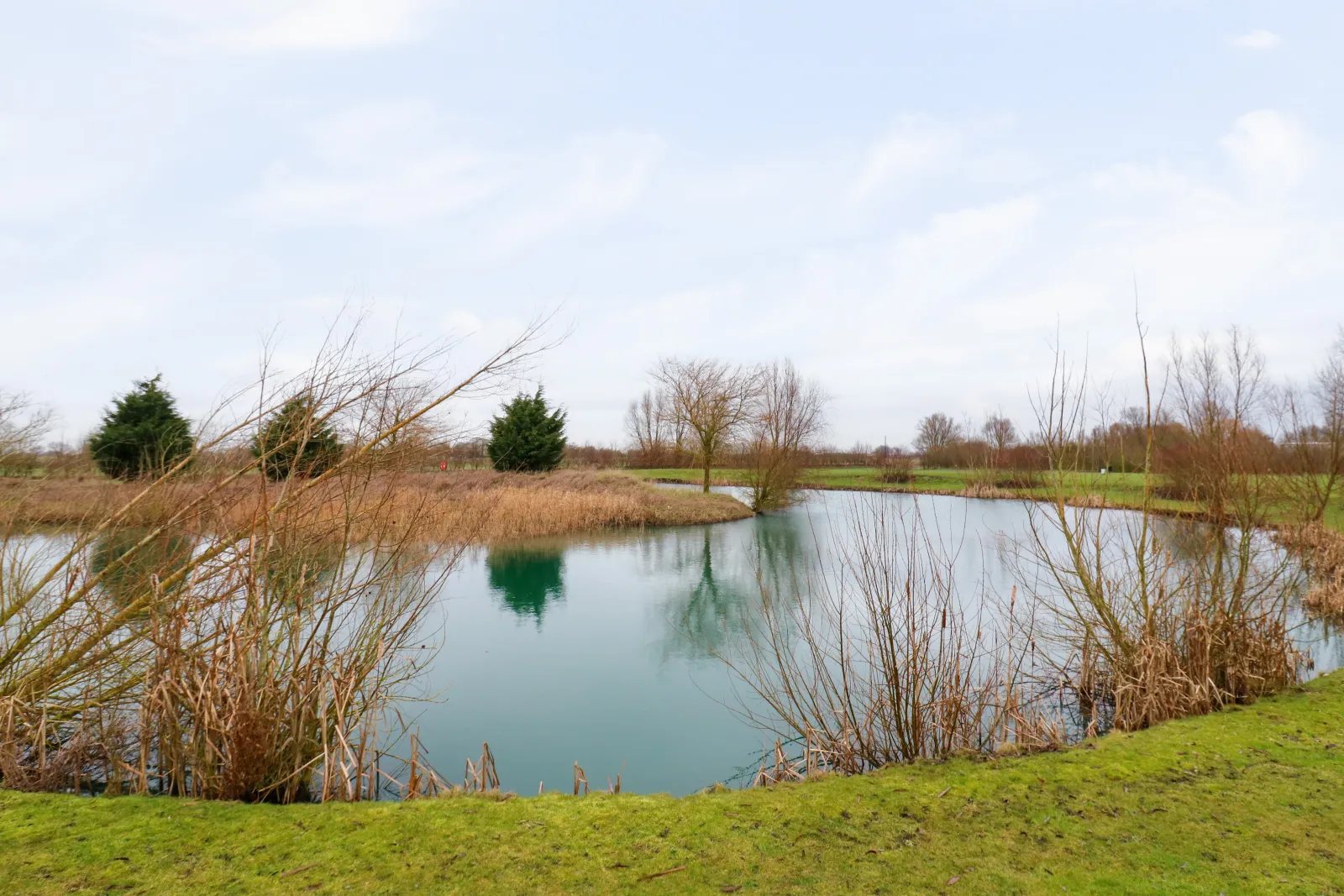 Property image 3 for SC1169443