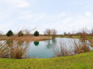 Property image 3 for SC1169443