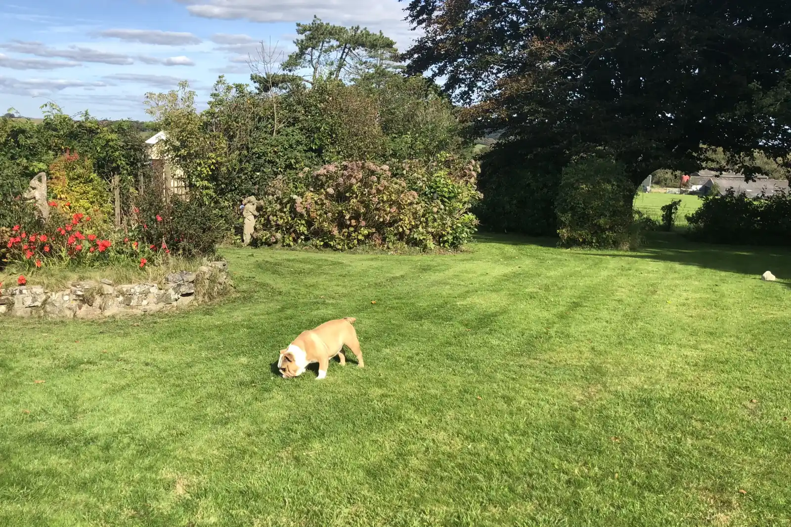 Property image 3 for SC1169517