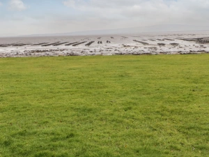 Property image 8 for SC1170467