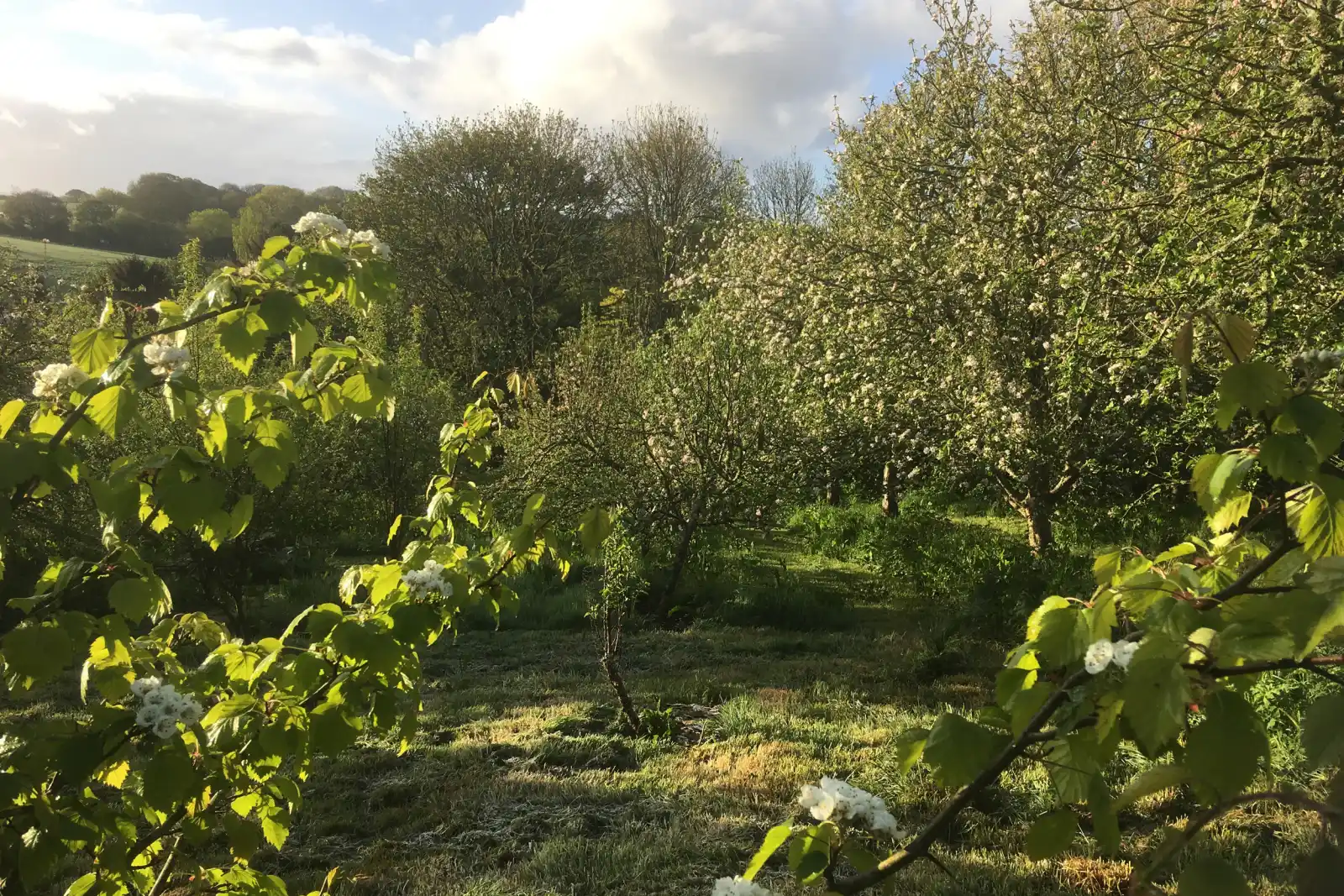 Property image 9 for SC1171208