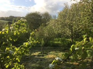 Property image 9 for SC1171208