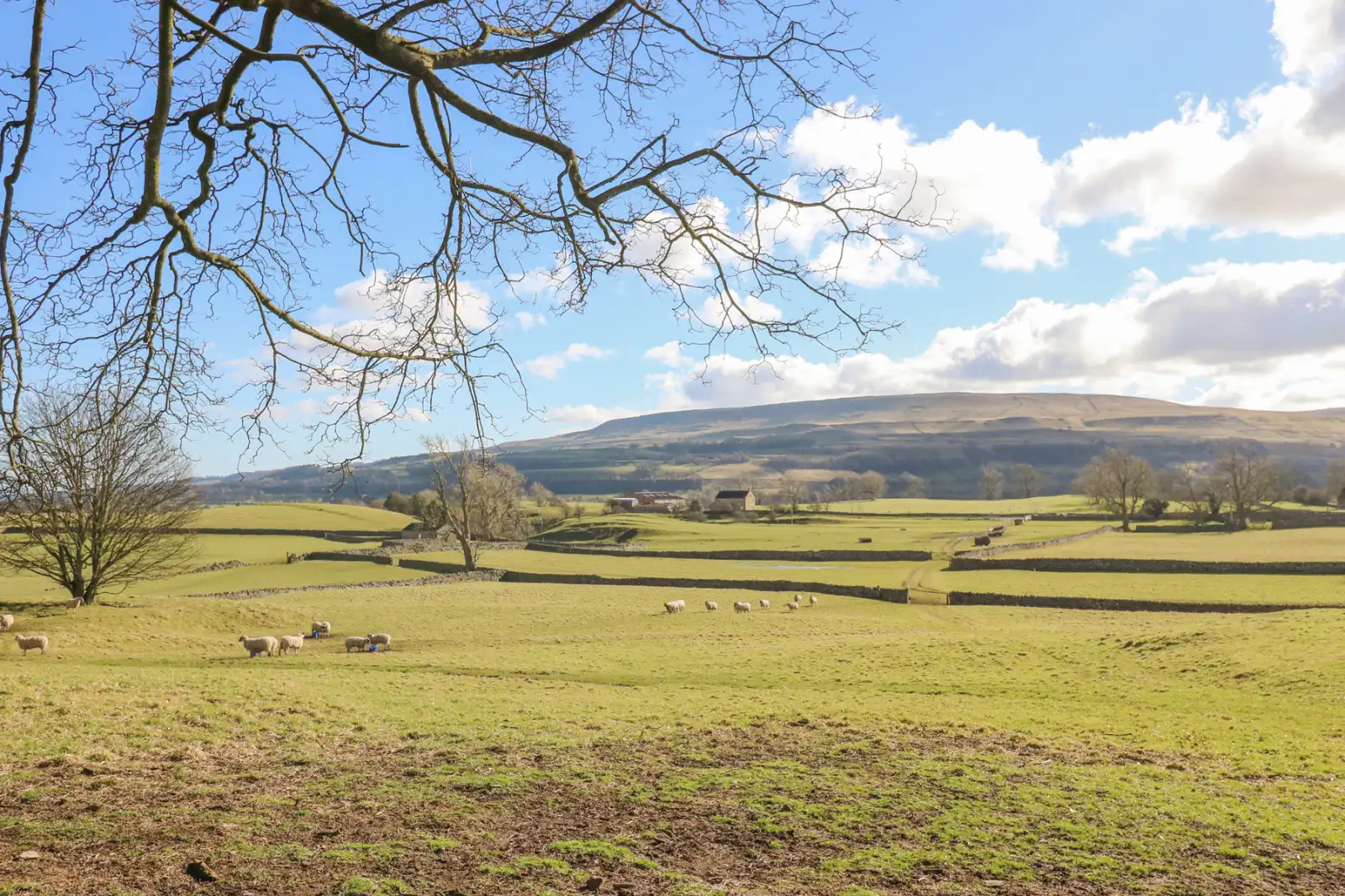 Property image 3 for SC1171485