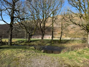 Property image 7 for SC1172103