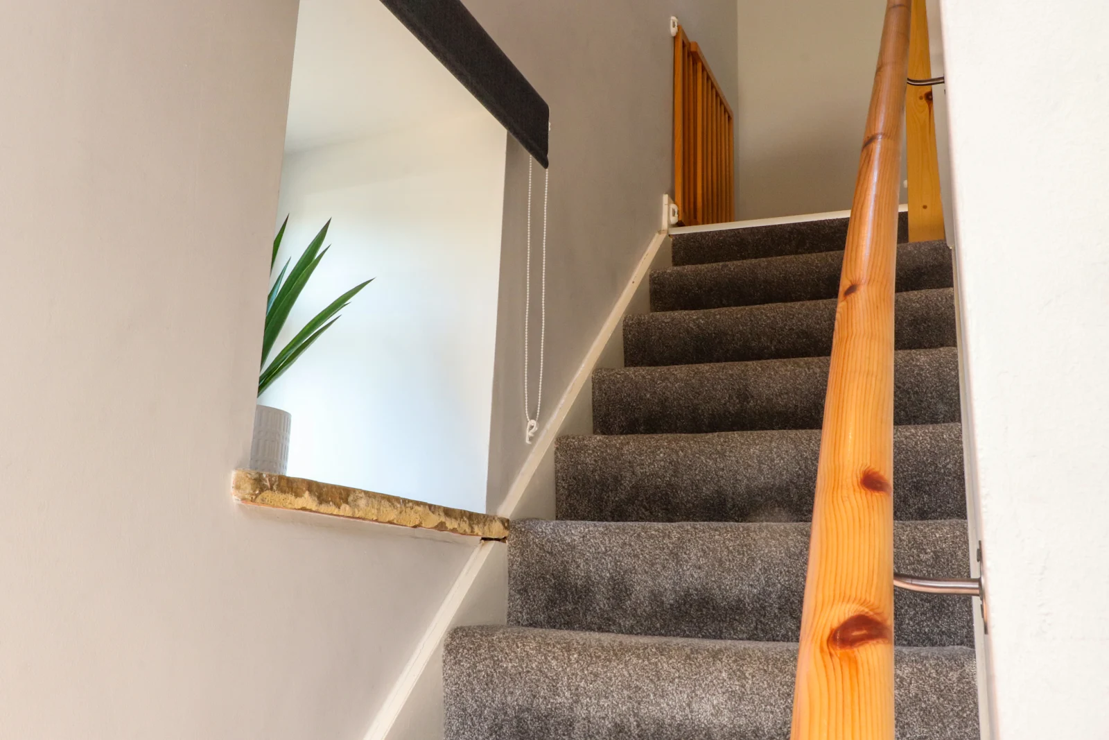 Property image 4 for SC1172749