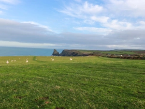 Property image 3 for SC1173197