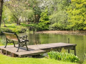 Property image 5 for SC1173662