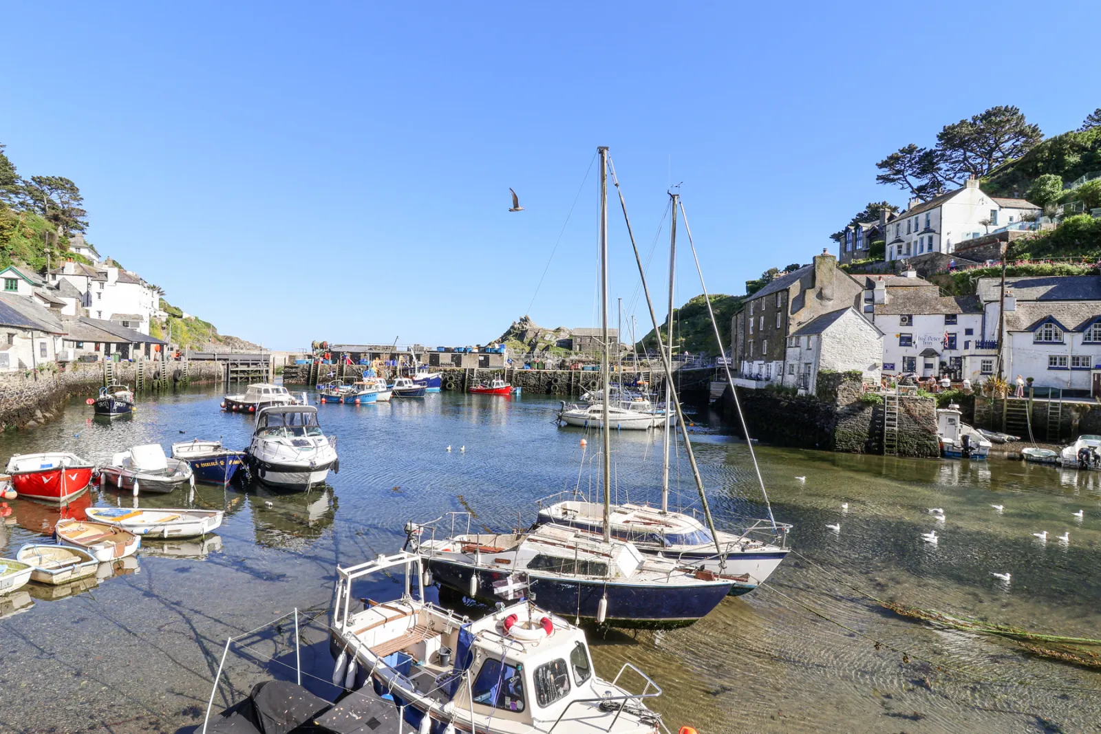 Property image 4 for SC1173838
