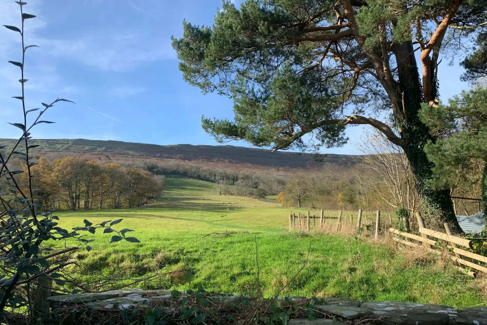 Property image 6 for SC1173908