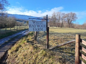 Property image 8 for SC1173908