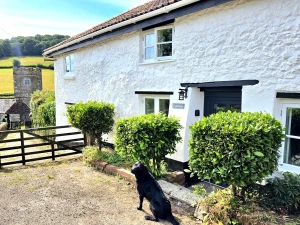 Property image 3 for SC1174029
