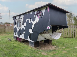 Buttercup (Cow Shed 3)