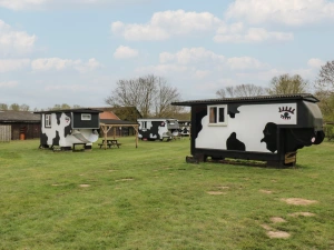 Property image 9 for SC1174328