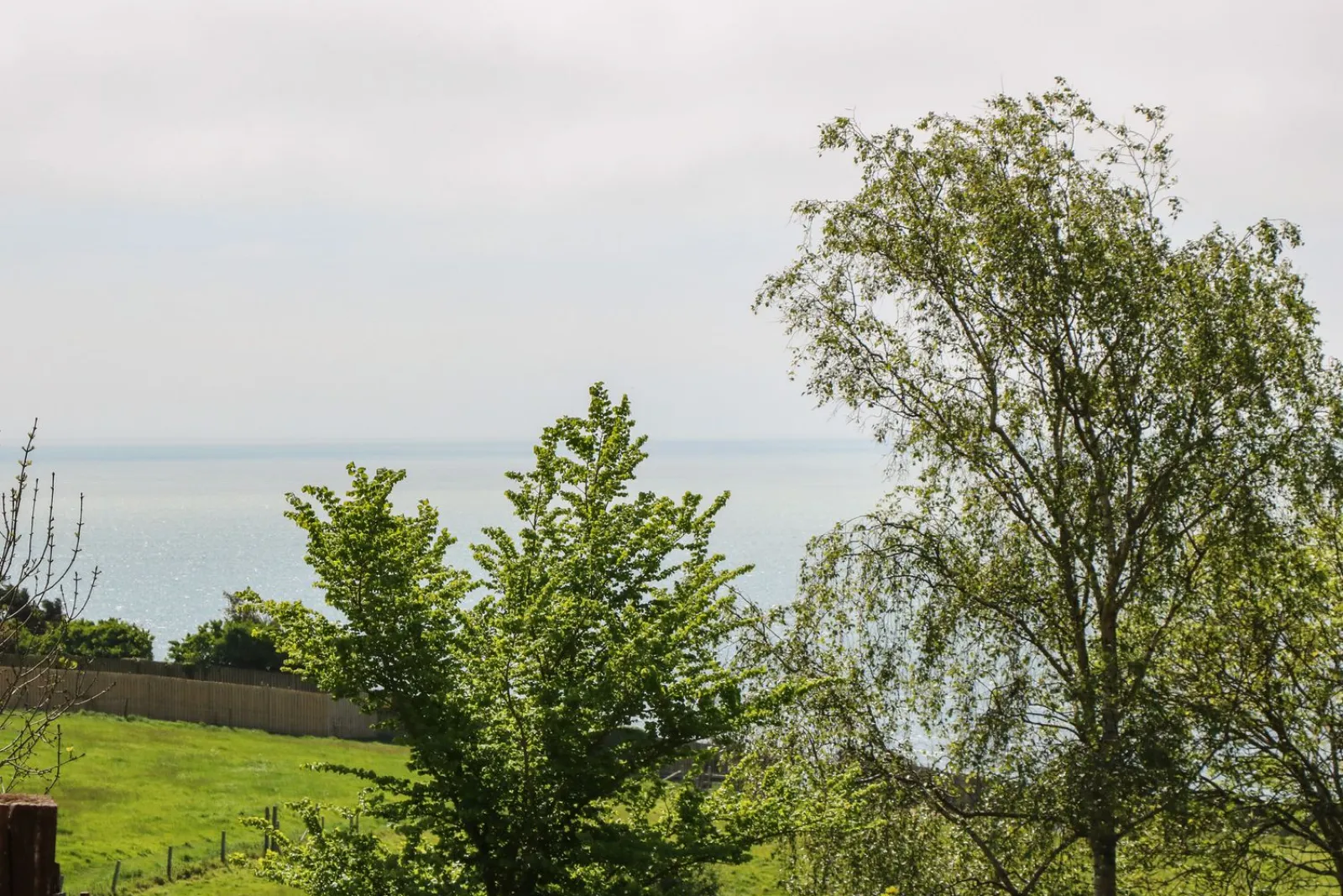 Property image 3 for SC1174468