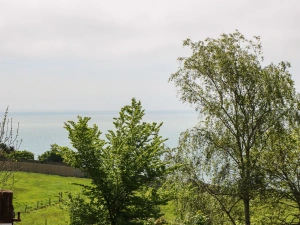 Property image 3 for SC1174468