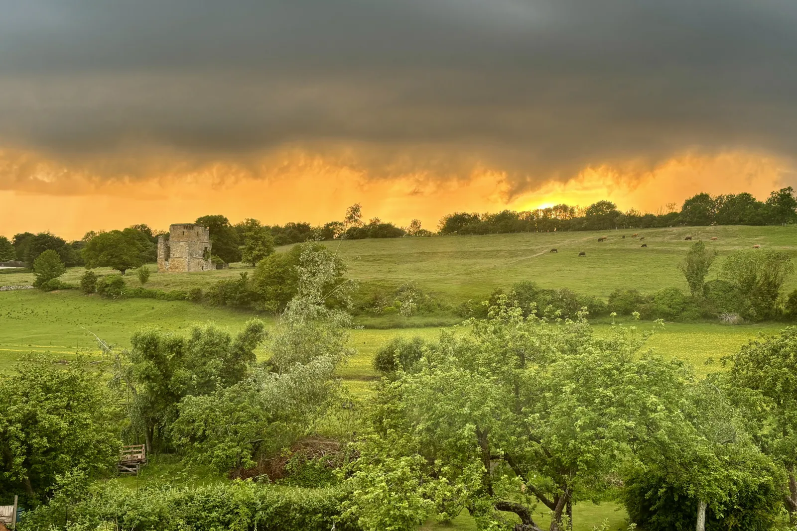 Property image 6 for SC1174524