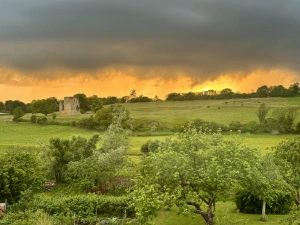 Property image 6 for SC1174524