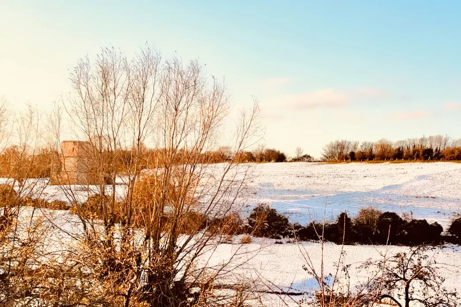 Property image 8 for SC1174524