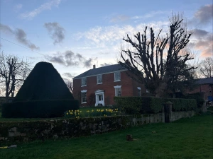 Property image 5 for SC1175487