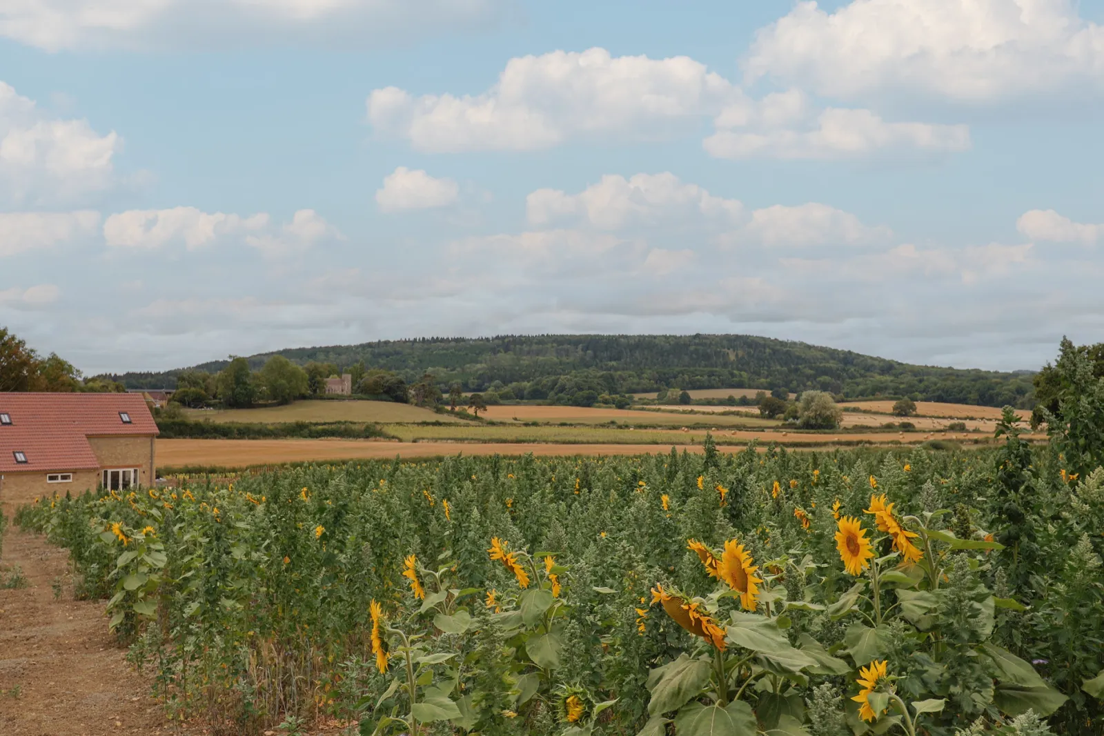 Property image 4 for SC1176732