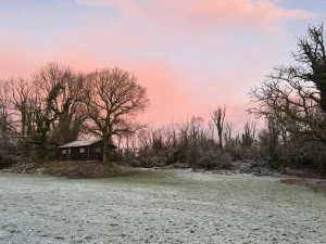 Property image 8 for SC1181892