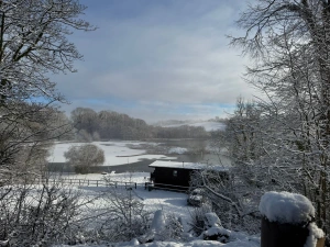 Property image 8 for SC1181893