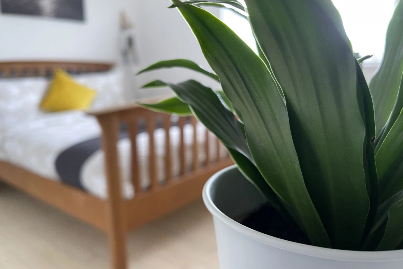 Property image 8 for SC1183117