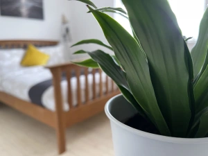 Property image 8 for SC1183117