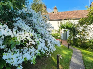 Property image 3 for SC1183528