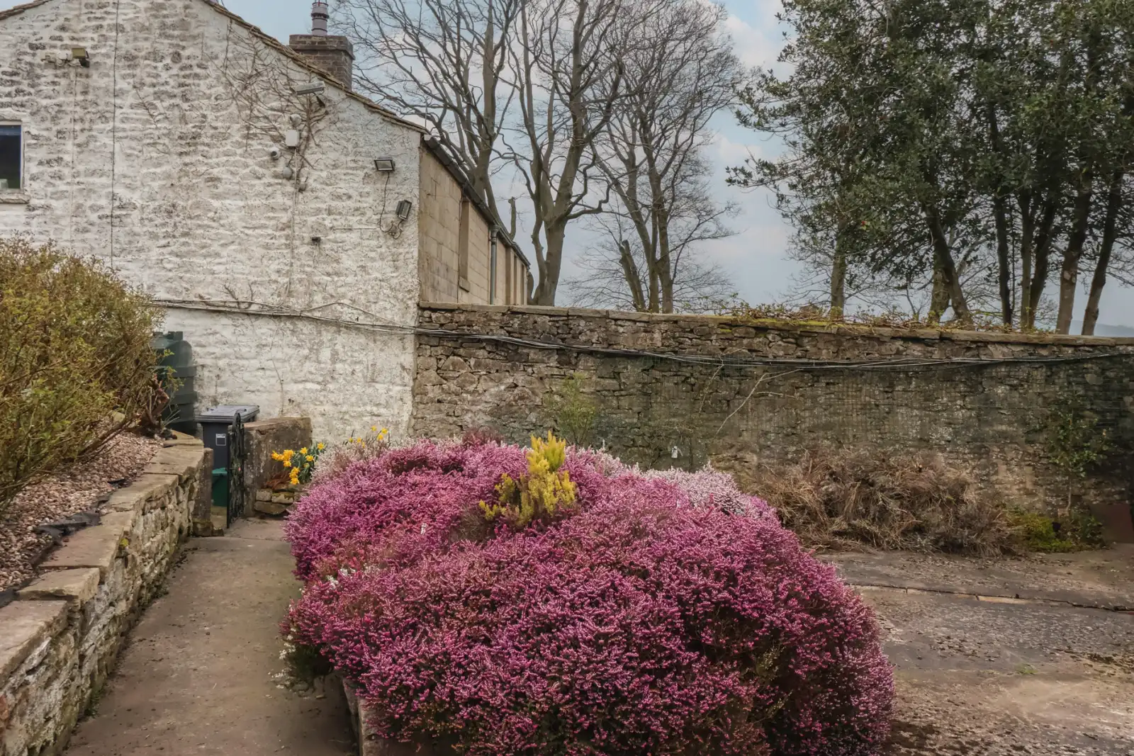 Property image 3 for SC1184137