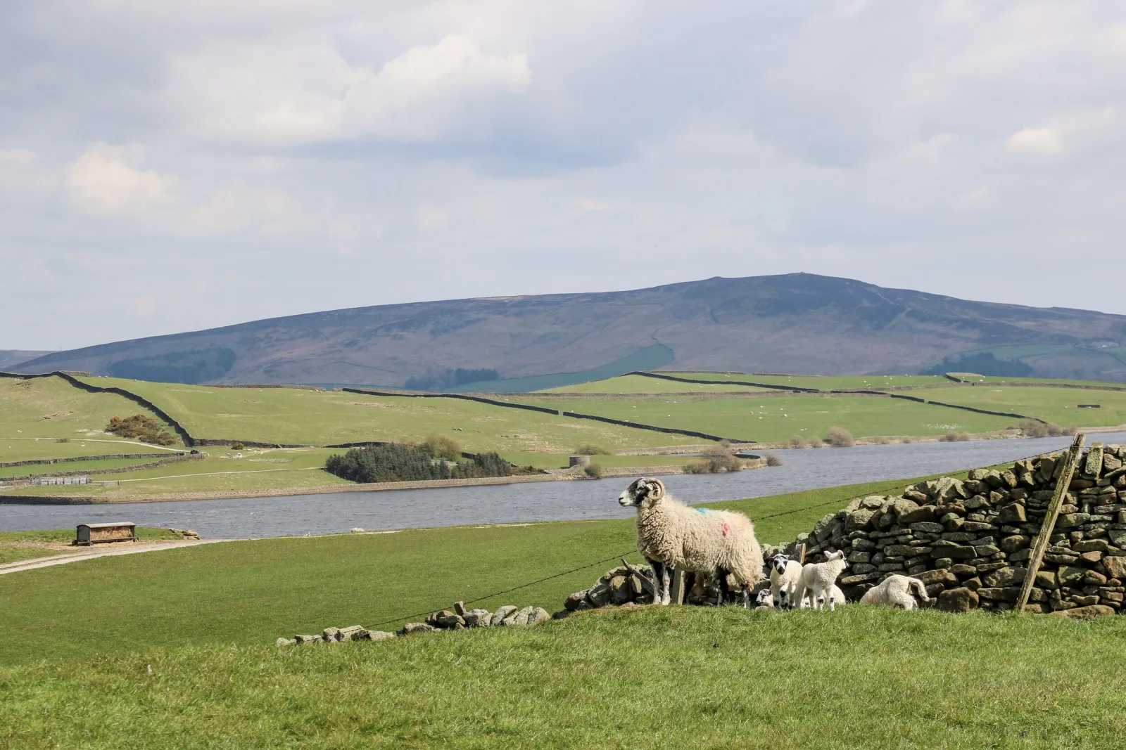 Property image 7 for SC1184137
