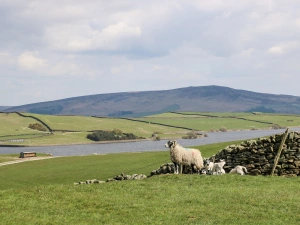 Property image 7 for SC1184137