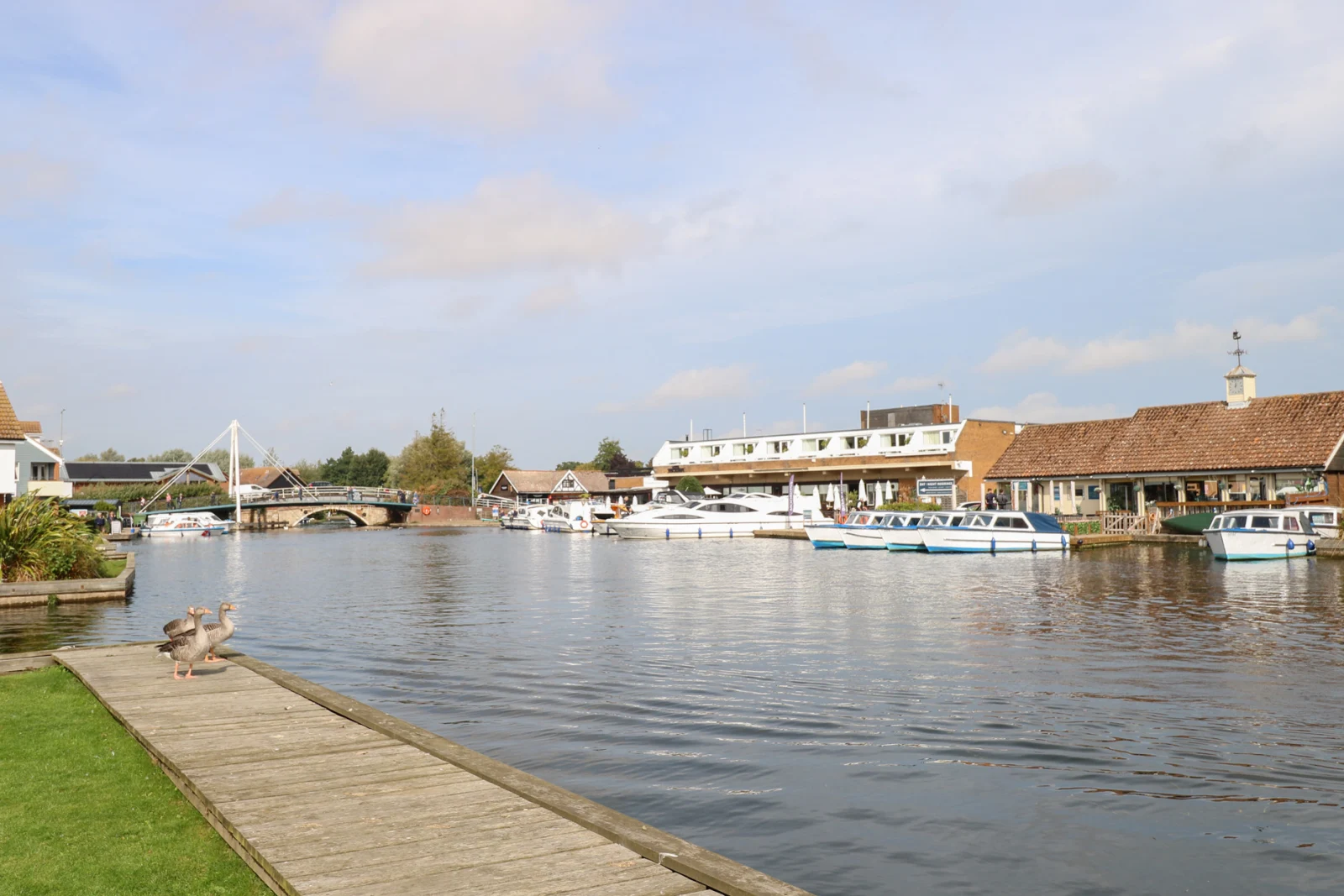 Property image 2 for SC1184757