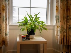 Property image 7 for SC1184790