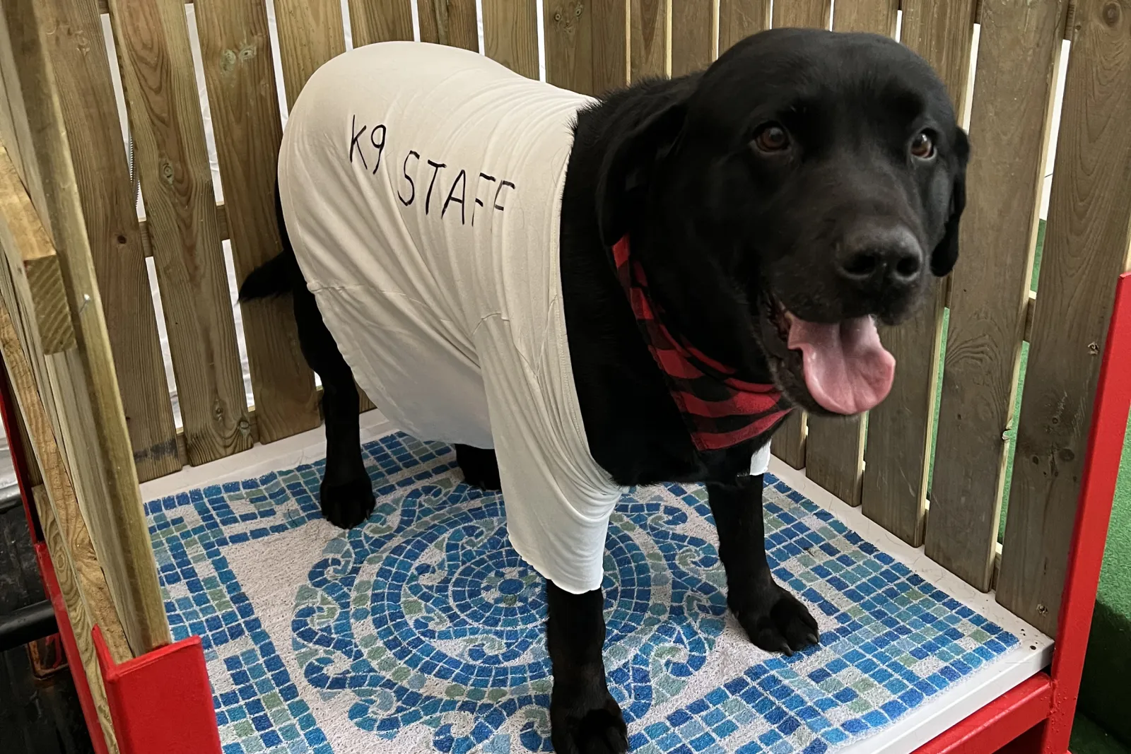 Property image 3 for SC1190213