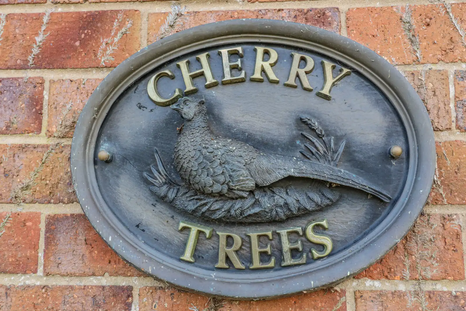 Property image 3 for SC1191145