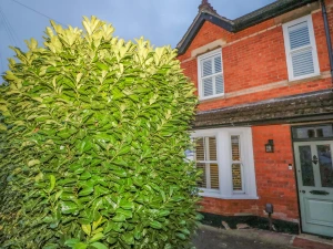 Property image 2 for SC1193015