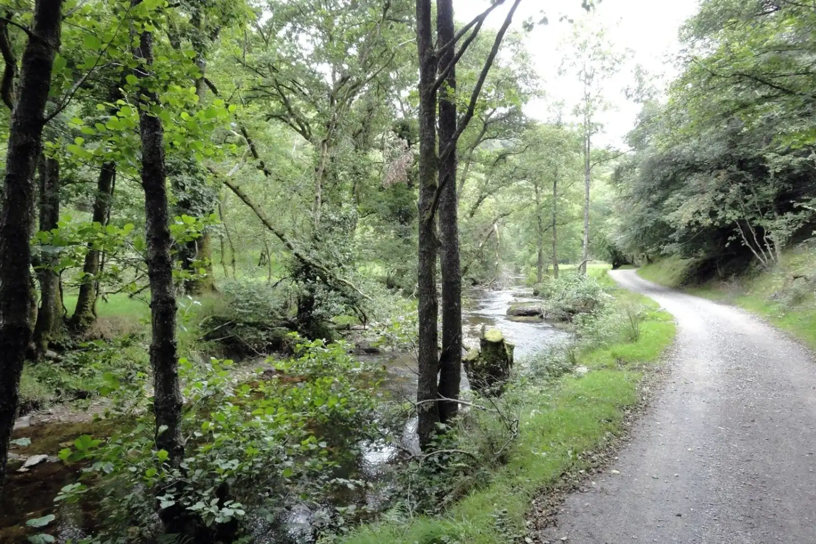 Property image 9 for SC1193152