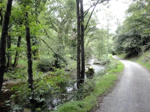 Property image 9 for SC1193152