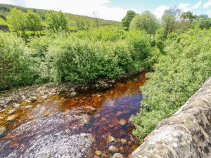 Property image 3 for SC1193493