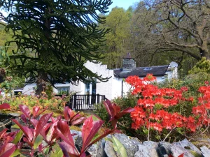 The Dove Cot