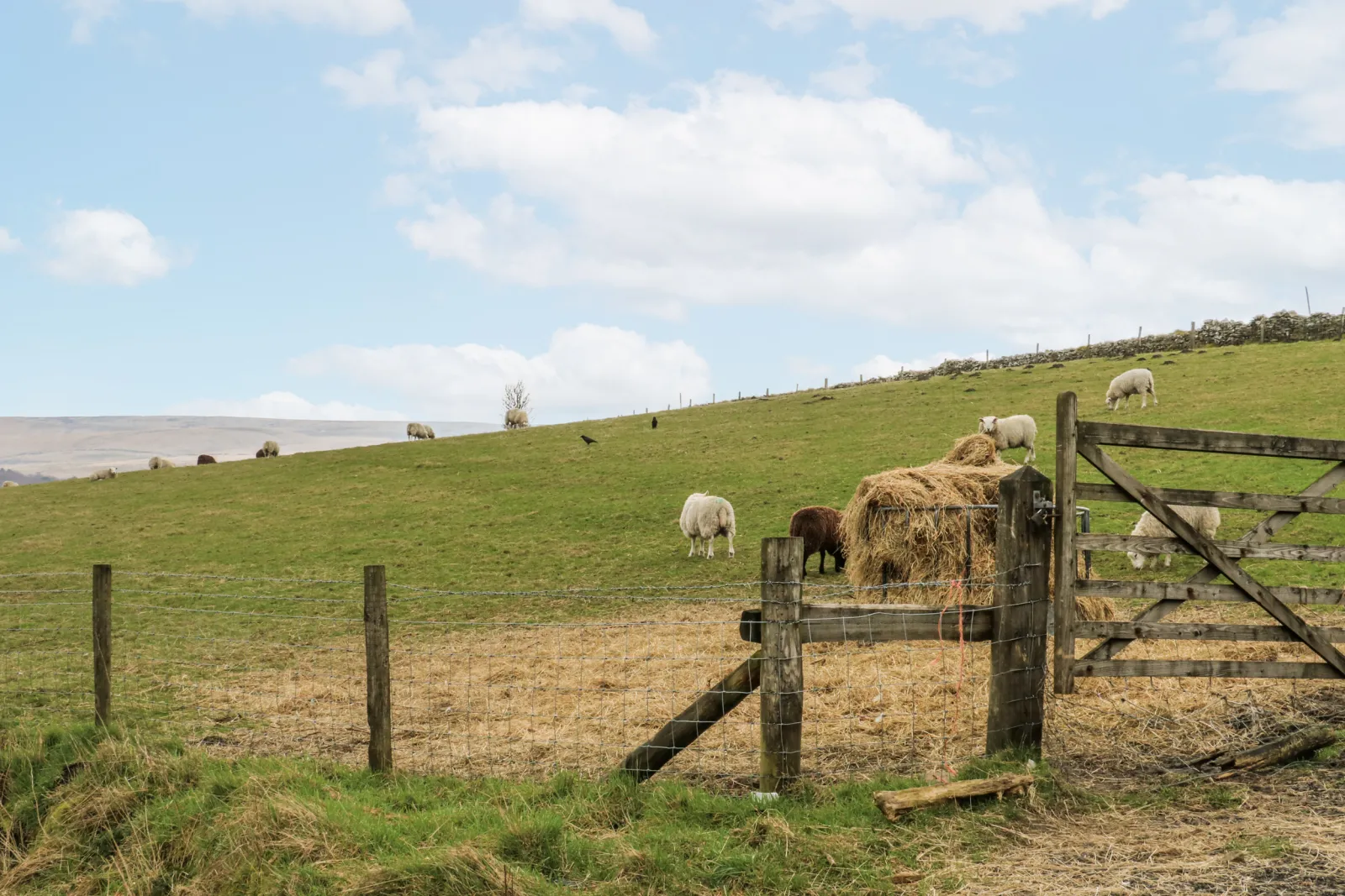 Property image 3 for SC1198073