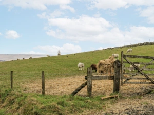 Property image 3 for SC1198073