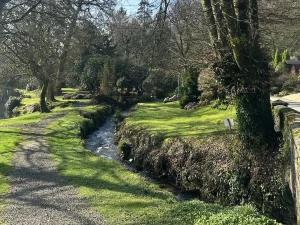 Property image 8 for SC1198604