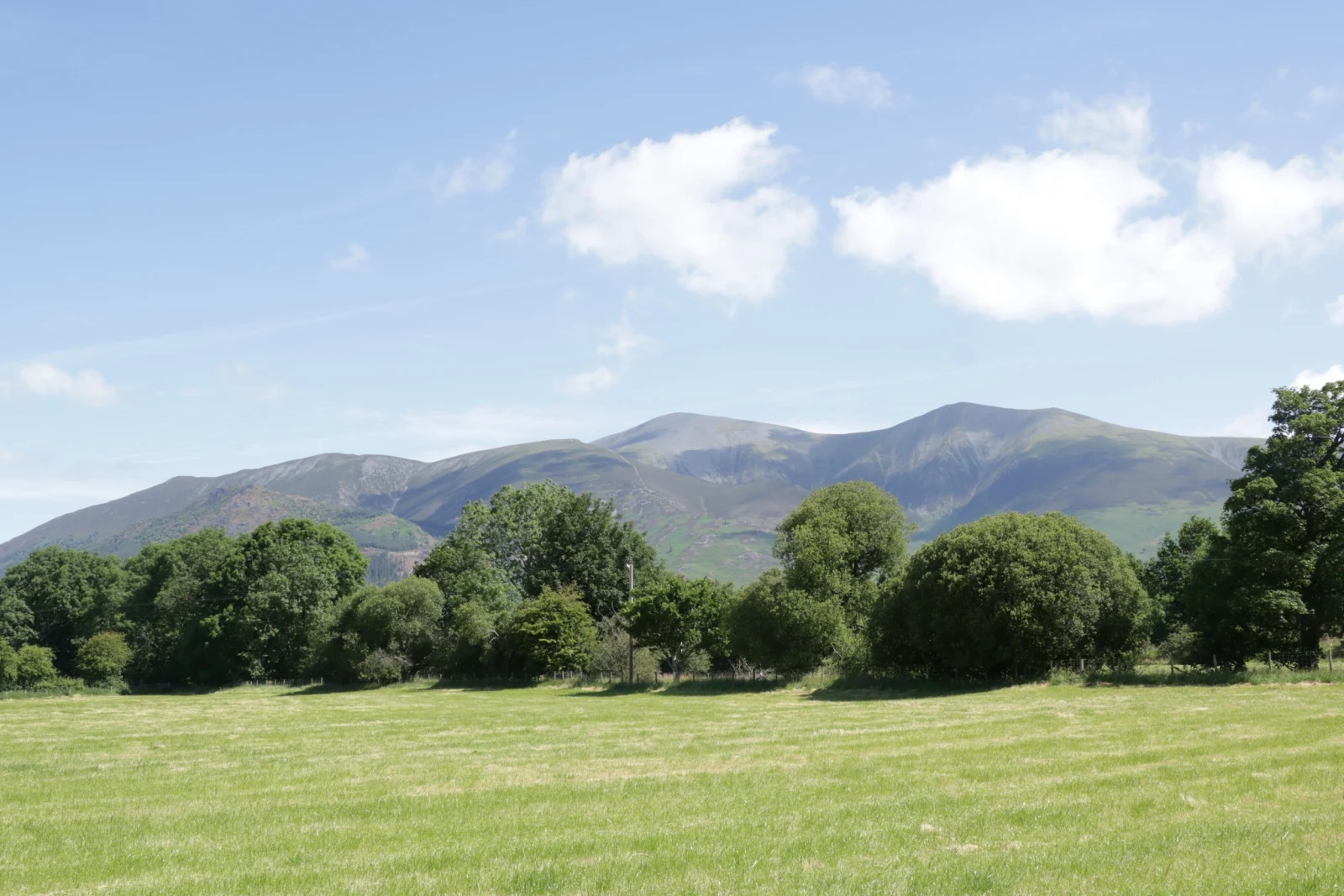 Property image 9 for SC1199161
